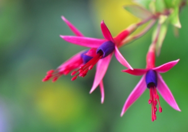 Our Christ is so enjoyable