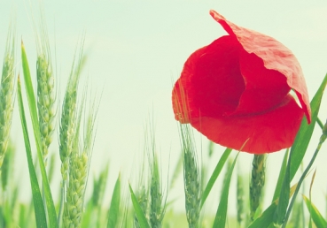 조민기 기자와 월간 현대종교에게 묻는다. - <지방교회 집회를 다녀오다>라는 제목의 조민기 기자가 쓴 기사와 관련하여