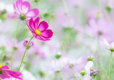 It is God’s intent and pleasure