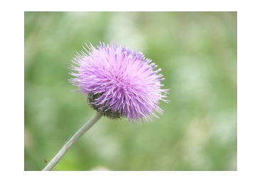 선악이 아니라 생명임