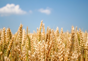 성경 말씀으로 서로 대립되는 사례들 - 안식일, 그리스도, 할례