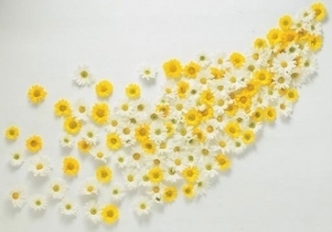 삼위 양식론(양태론), 삼신론