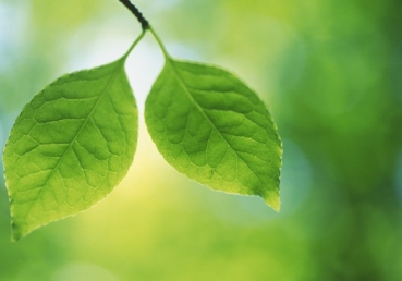 The Son of God is in my spirit