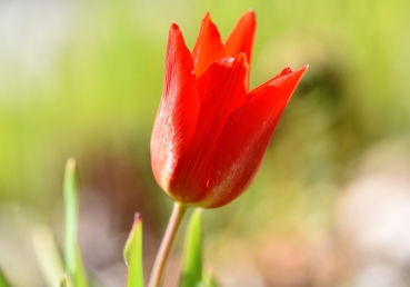 현대종교측의 답신에 대한 재 항의