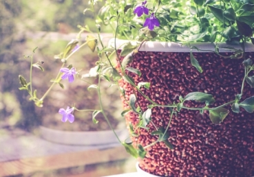 Lord, for this day, thankful to You