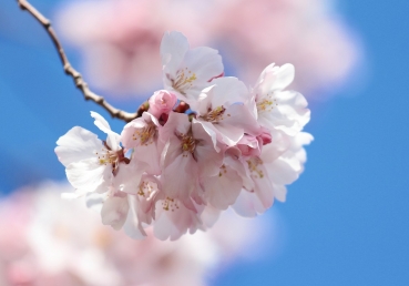 “하나님의 재창조 사역” 논쟁