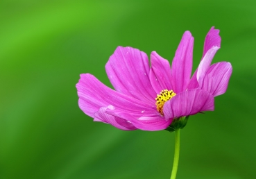 O Christ, He is the fountain