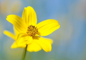 양태론 비판에 대한 지방교회 측의 반박(3) - 세 위격들의 ‘분리’를 주장하는 이인규 씨의 삼신론 사상