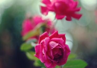 What made You die for me