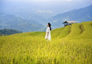 유동근 목사와  “나의 잊을 수 없는 기억들”의 실체 (1) - 워치만 니 탄압을 모의한 기밀문서 공개