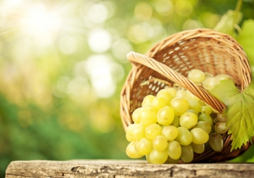 단 루퍼 형제님을 기억하며....