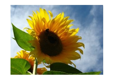 혼과 영의 구분