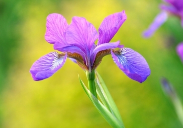 박형택의 "메시야 과정설"은 이단사상