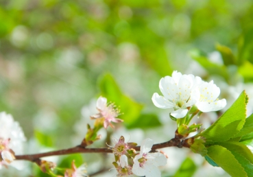복음의 수호―결론