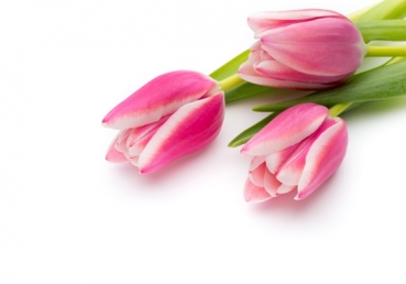 We will sing to the Lord with our spirit