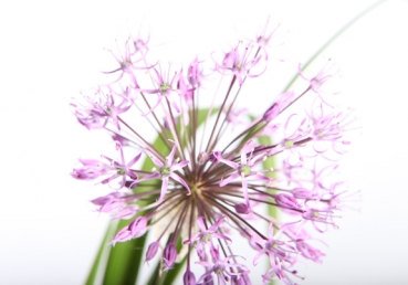 Once I Was Walking in the World