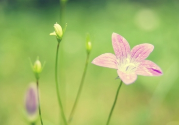 휴거론 논쟁 - "교인이면 다 천국인가" (5)