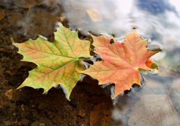 Such Faith and Love (Conclusion)