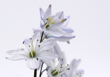 양태론 비판에 대한 지방교회 측의 반박(4) - ‘한 신격’(One Godhead) 개념에 무지한 이인규 씨의 이단성