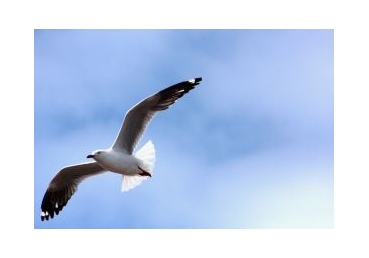 한 여인이 한 사내아이를 낳다