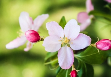 Splendid church life! His green garden!
