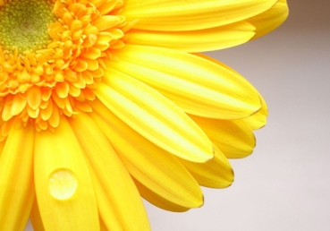 지방교회 측 이단시비에 관한 보고서