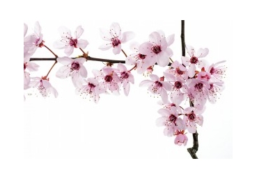 주님의 이름을 부름