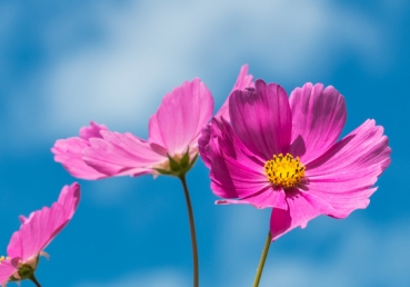 지방 교회측 토론글-지방 교회측은 정통이고 성경적이다-삼일 하나님부터 새 예루살렘까지(#5)