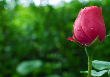 김홍기 목사는 성경적인 교회는 공격하고, 비성경적인 교파주의는 끌어안는가?