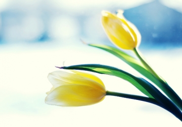 영적으로 선악을 분별함