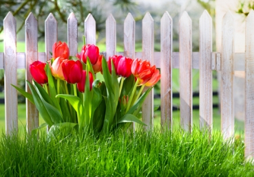 통합측과 합동측의 차이