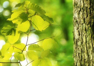 Oh, how we enjoy the blending