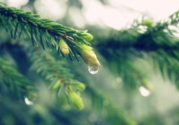 워치만 니 형제님이 일생 동안 받은 고난과 배운 공과(속)