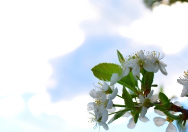 동방번개 관련 K 선교사에 대한 항의서한(1)