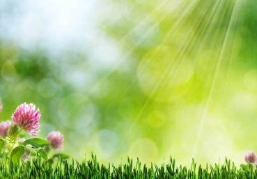 지방교회 양태론 정죄의 원조와 그 후예들(1)