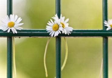 회복역 성경 번역의 우수성 - 지옥, 게헨나, 음부, 불못(1)
