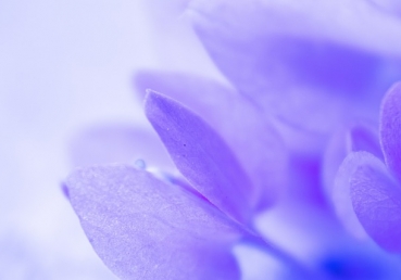 우리의 생각을 사용하기를 배워야 함