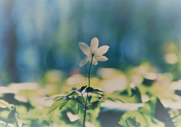 적그리스도의 원칙