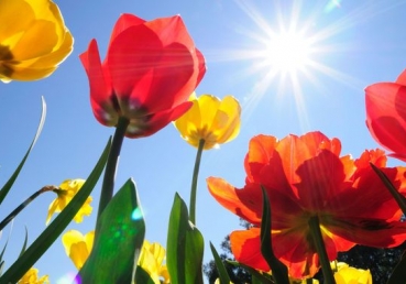 주의 회복―개혁후 역사와 회복