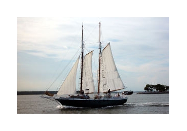 김씨 기자간담회에 대한 지방교회 측의 해명 및 반박