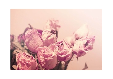 지방교회의 양태론?