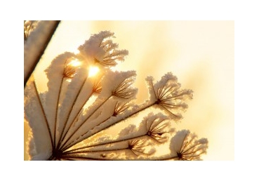 “…우리가 하나님이 되게 하려는 것이다.”