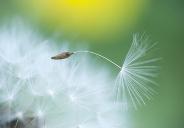 There’s a life that’s deeper than our mind