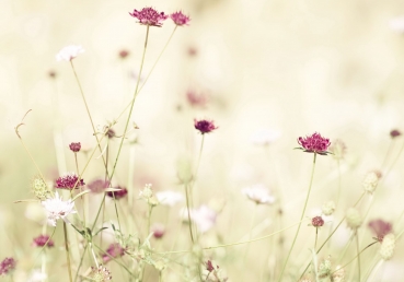 우리 안에 어떤 분이 내주하시는가?