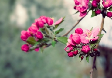 I am crucified with Christ