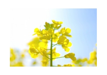 생명의 체험과 성장