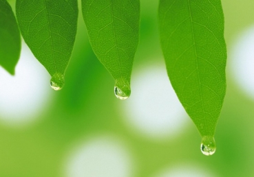 주의 회복―현재의 회복(1)