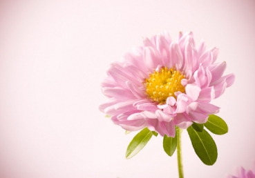 Lord, You are Beloved