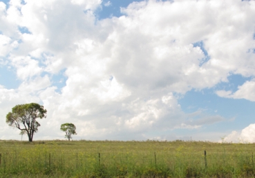 길을 평탄케 하는 개척자