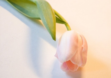 자기의 날짜를 계산하라